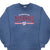 Vintage Mlb Washington Nationals 2004 Blue Sweatshirt Size Large