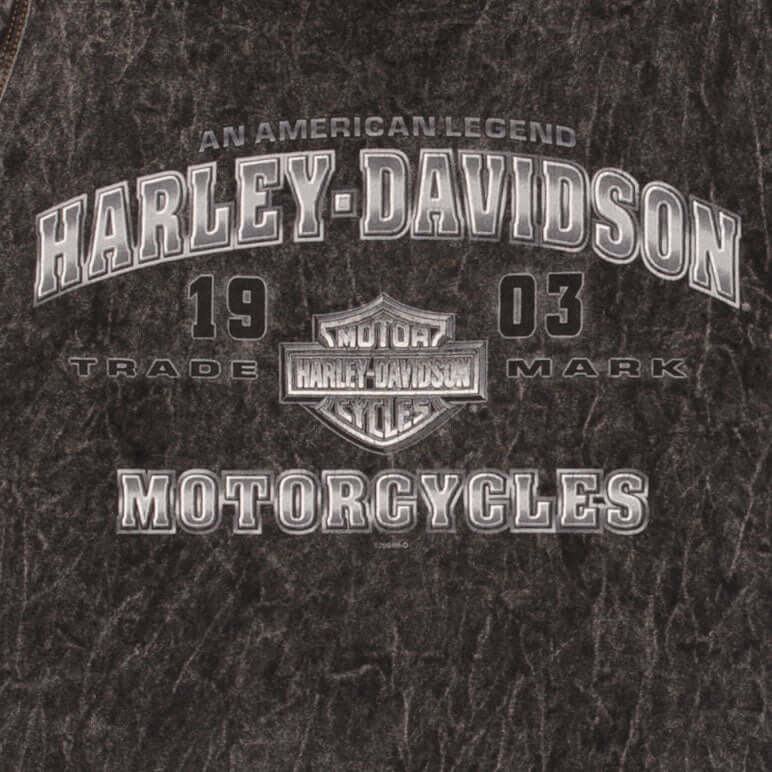 Vintage Harley Davidson Thunderbolt Tank Top Tee Shirt 2004 Large Made In Usa