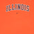 Vintage Nike Ncaa University Of Illinois Illini 2000S Tee Shirt Size 2XL