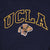 Vintage Ucla Bruins Blue Hoodie Sweatshirt 1990S Size Large. University Of California Los Angeles