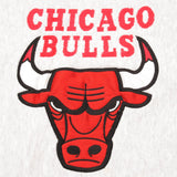 SUDADERA VINTAGE NBA CHICAGO BULLS TALLA GRANDE FABRICADA EN EE. UU.