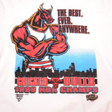 VINTAGE STARTER NBA CHICAGO BULLS TEE SHIRT 1996 SIZE LARGE