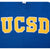 Vintage UCSD University Of California San Diego Russell Sweatshirt 1990S Size 2XL Made In Usa