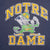 VINTAGE CHAMPION NOTRE DAME UNIVERSITY 1980S TEE SHIRT MEDIUM MADE IN USA