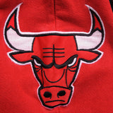 SUDADERA VINTAGE NBA CHICAGO BULLS TALLA GRANDE FABRICADA EN EE. UU.