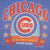 Vintage Mlb Chicago Cubs Champions 1989 Tee Shirt Size Medium Made In USA With Single Stitch Sleeves