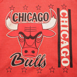 SUDADERA VINTAGE NBA CHICAGO BULLS TALLA GRANDE FABRICADA EN EE. UU.