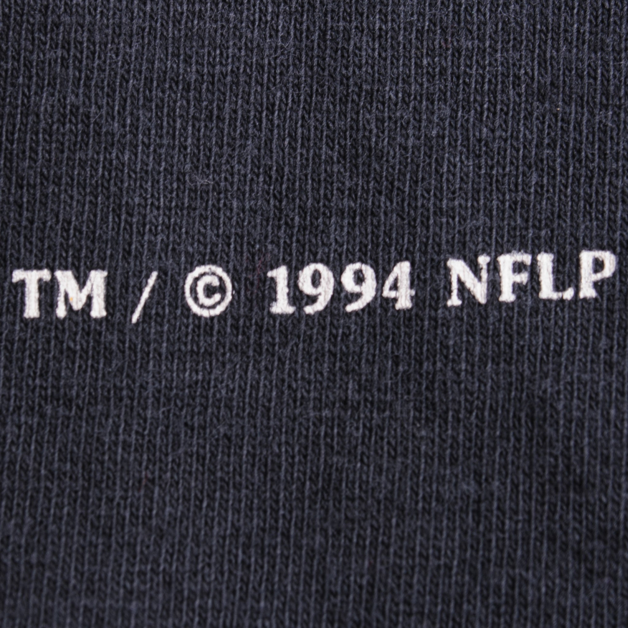 Rare Vintage Los Angeles Rams Sweatshirt / NFL 1994 / American 