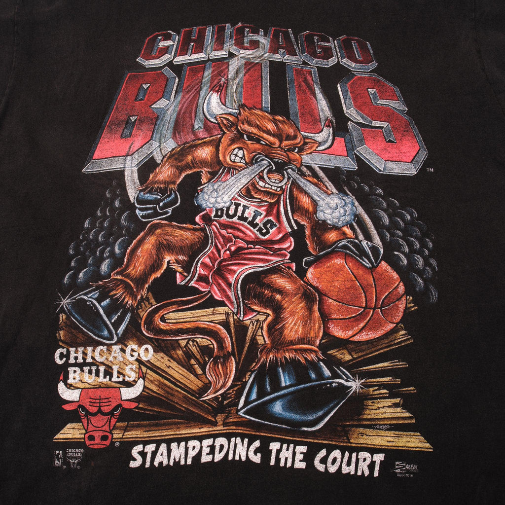 Vintage NBA Chicago Bulls Looney Tunes T-Shirt, Chicago Bulls